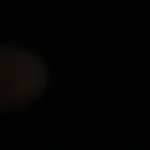 Meet your Posher, Peyton